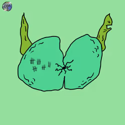 Goblin Ass #1277