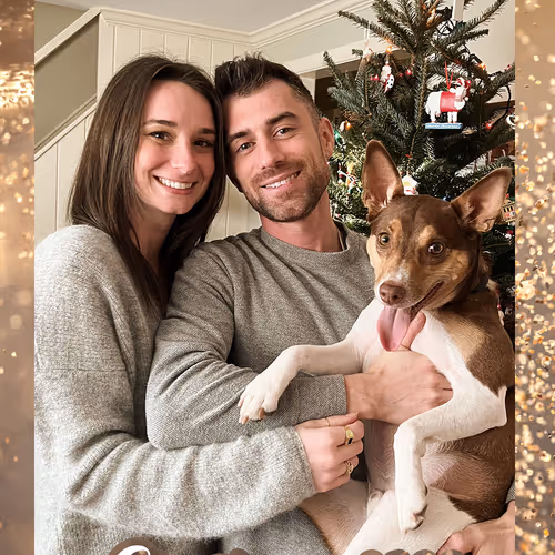 Nates Holiday Cards