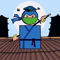 Shape Ninjas #1221