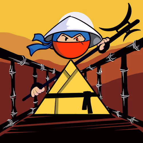 Shape Ninjas Wtf