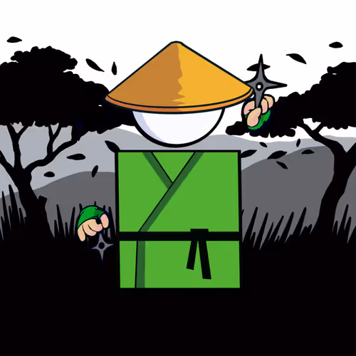 Shape Ninjas Wtf