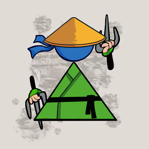 Shape Ninjas Wtf