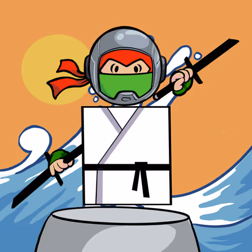 Shape Ninjas Wtf