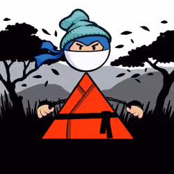 Shape Ninjas #1239