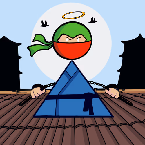 Shape Ninjas Wtf