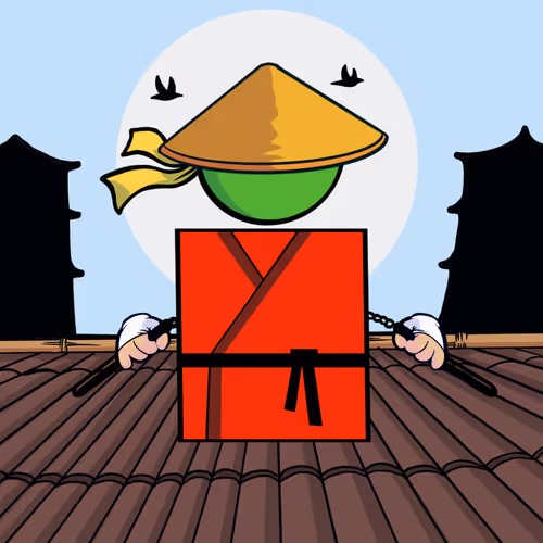 Shape Ninjas Wtf