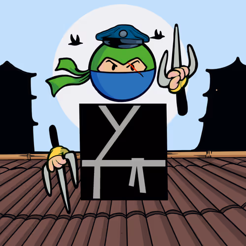 Shape Ninjas Wtf
