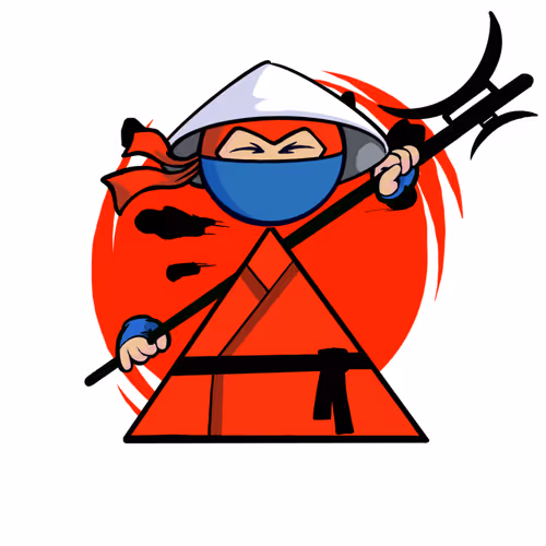 Shape Ninjas Wtf