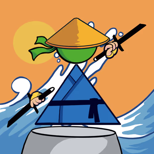 Shape Ninjas Wtf