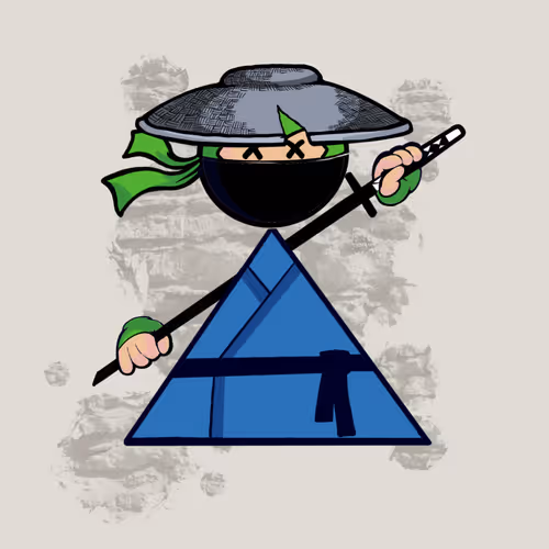 Shape Ninjas Wtf