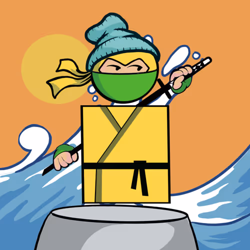 Shape Ninjas Wtf