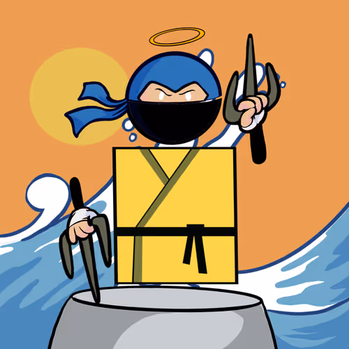Shape Ninjas Wtf