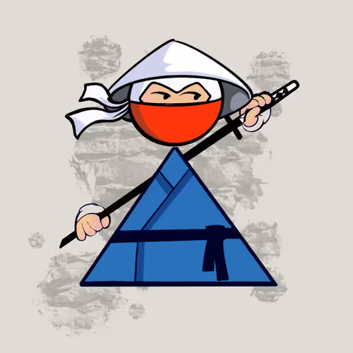 Shape Ninjas Wtf