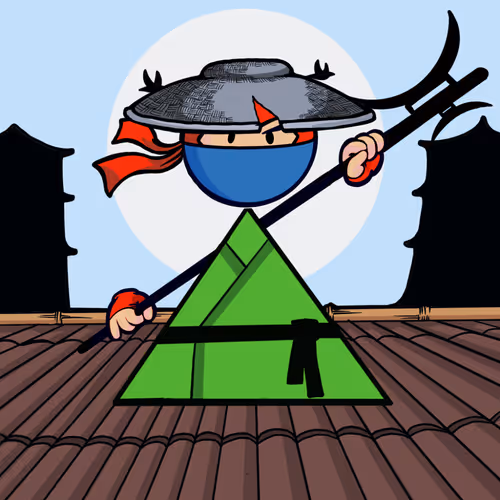 Shape Ninjas Wtf