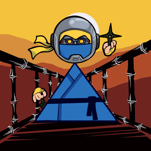 Shape Ninjas Wtf