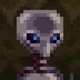 8040