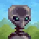 6336