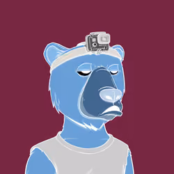 PhantomBear #3248