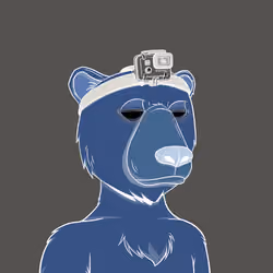 PhantomBear #750