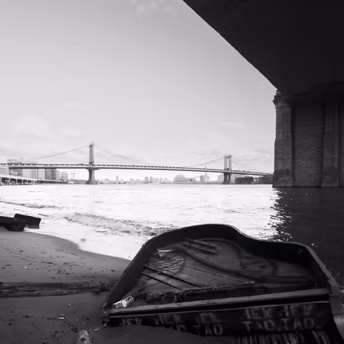 Timeless New York