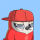 2529