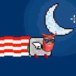 NyanBird #2124