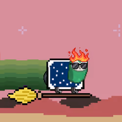NyanBird #2123