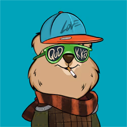 Quokka #337