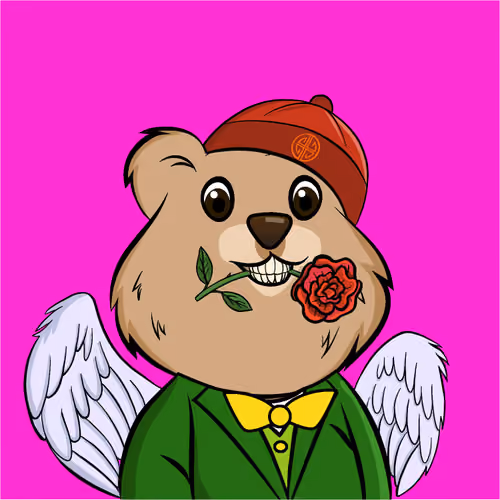 Quokka #342