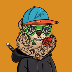 Quokka #183