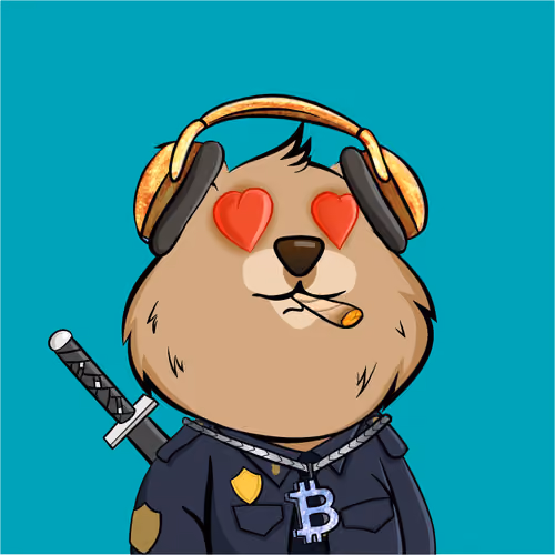 Quokka #234
