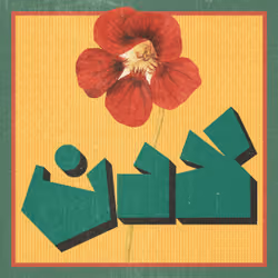 nasturtium