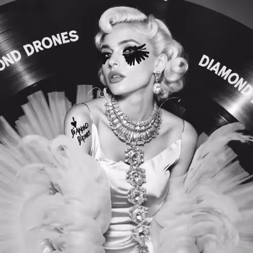 DIAMOND DRONES ARE A GIRL'S BEST FRIEND - RECORDING STUDIO