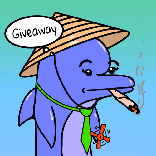Dolphins Incorporation