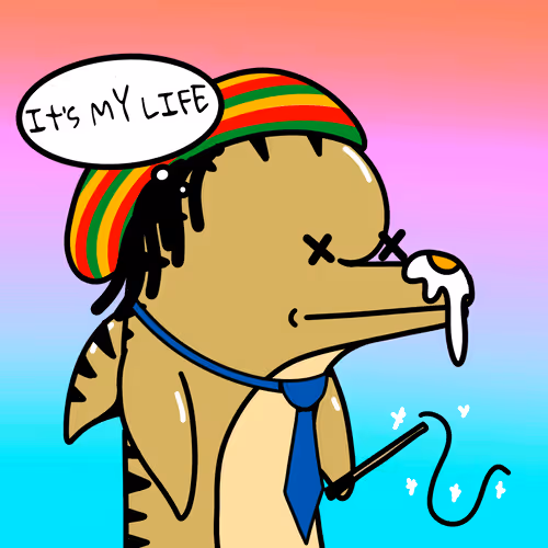 Dolphins Incorporation