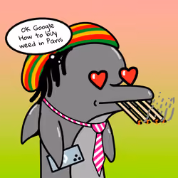 Dolphin #2611