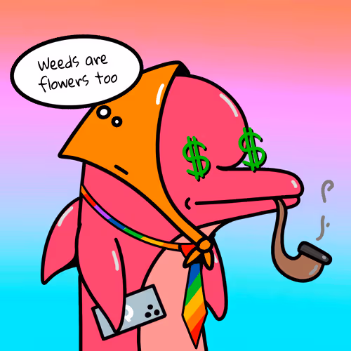 Dolphins Incorporation