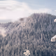 Whiteout V2