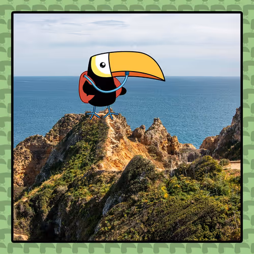 Travel Toucan #65