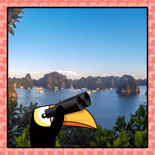 Traveltoucansgenesis
