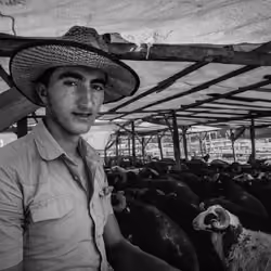 Animal Sellers #1