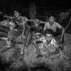 Animal Sellers #4