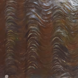 65