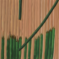 43