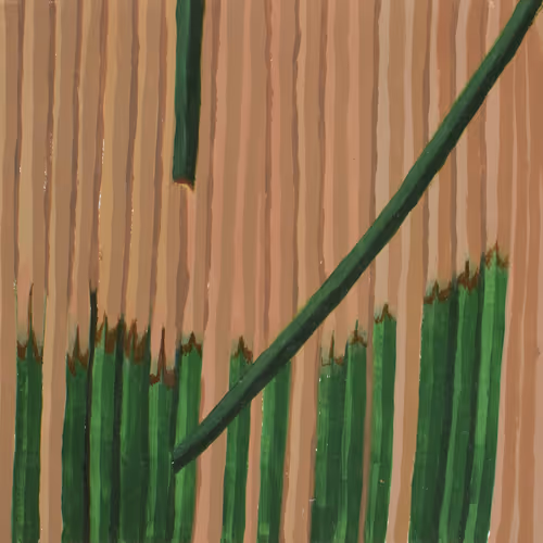 43