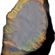 663
