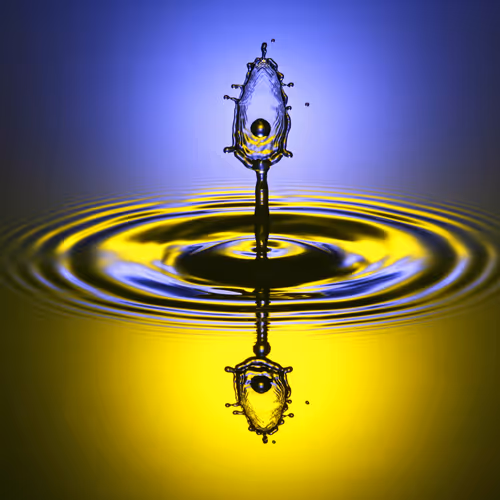   Liquidity Art - The Vault