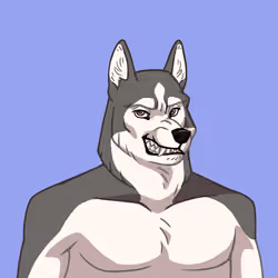 Canine Cartel #9642