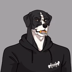 Canine Cartel #2804