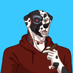 Ferda-Bronco #5474
